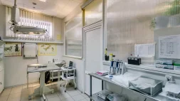 Ветеринарная клиника доктора Зарубина на улице Добровольского изображение 12